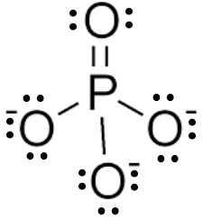 <p>PO4^-3</p>