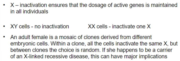 <ul><li><p>in females, one copy of the X chromosome is switched off during embryogenesis</p></li><li><p>this ensures that the dosage of active genes is maintained in all individuals </p></li></ul>