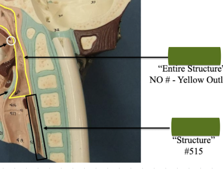 <p>Label structure</p>