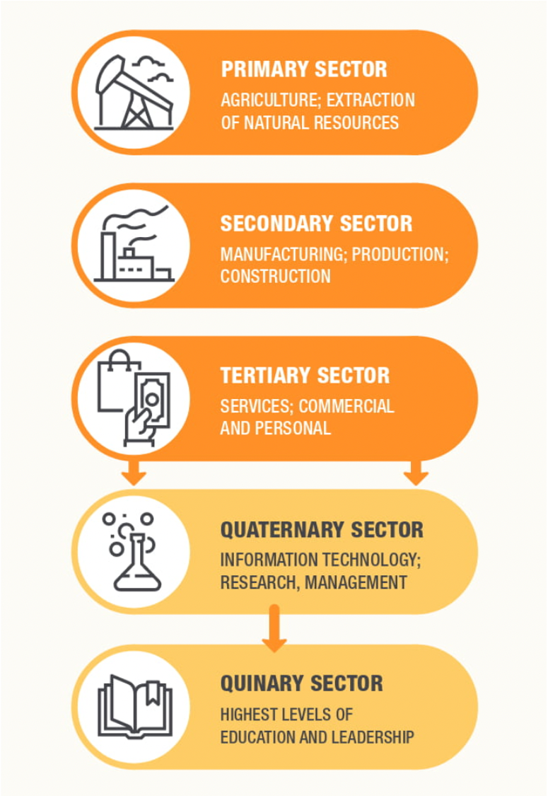 __primary sector__: extracting natural resources – farming, mining, forestry, fishing

__secondary sector__: processing natural resources – manufacturing

__tertiary sector__: providing services – marketing, banking, design

*4th and 5th are related to 3rd, but reflect increased levels of knowledge and power*

__quaternary sector__: knowledge-based – computer programmers, university researchers

__quinary sector__: decision-makers – government officials, CEOs (7.2)