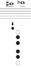 <p>Note name?</p>