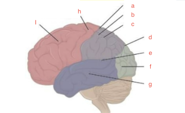 <p>f</p>