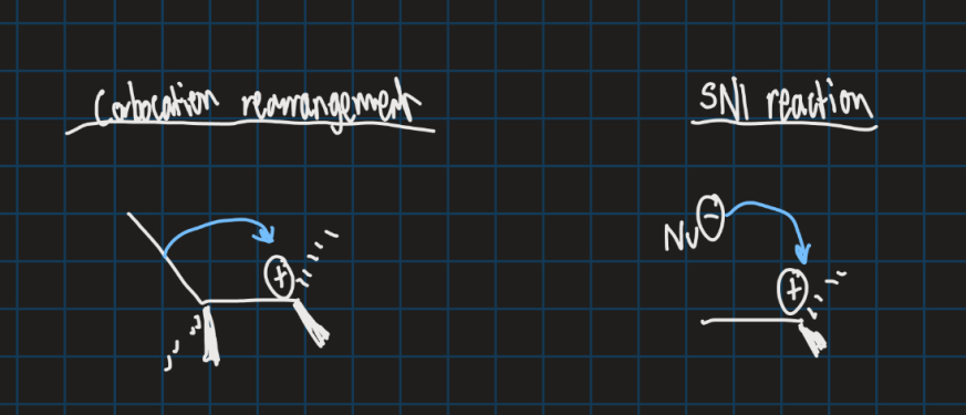 <ul><li><p>Carbon rearrangement occurs within a molecule</p></li><li><p>SN1 reaction requires a strong nucleophile to fill empty orbital in carbocation</p></li></ul><p></p>