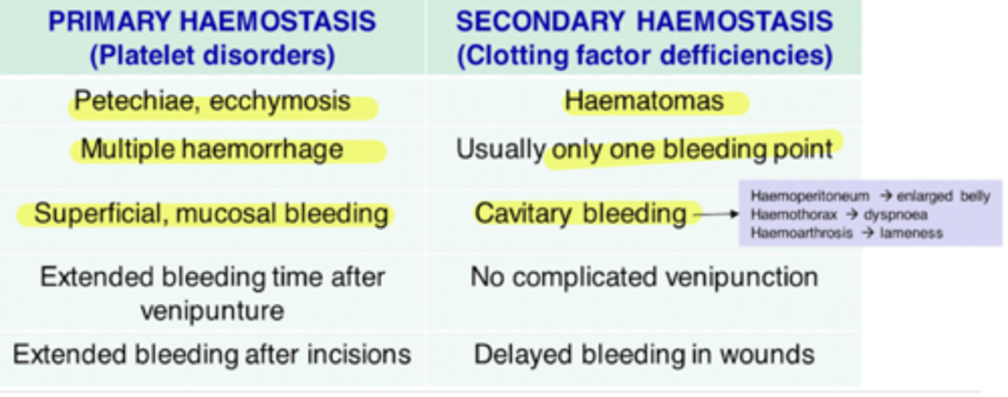 <p>hematomas</p><p>one bleeding point</p><p>cavitary bleeding</p><p>delayed bleeding in wounds</p>
