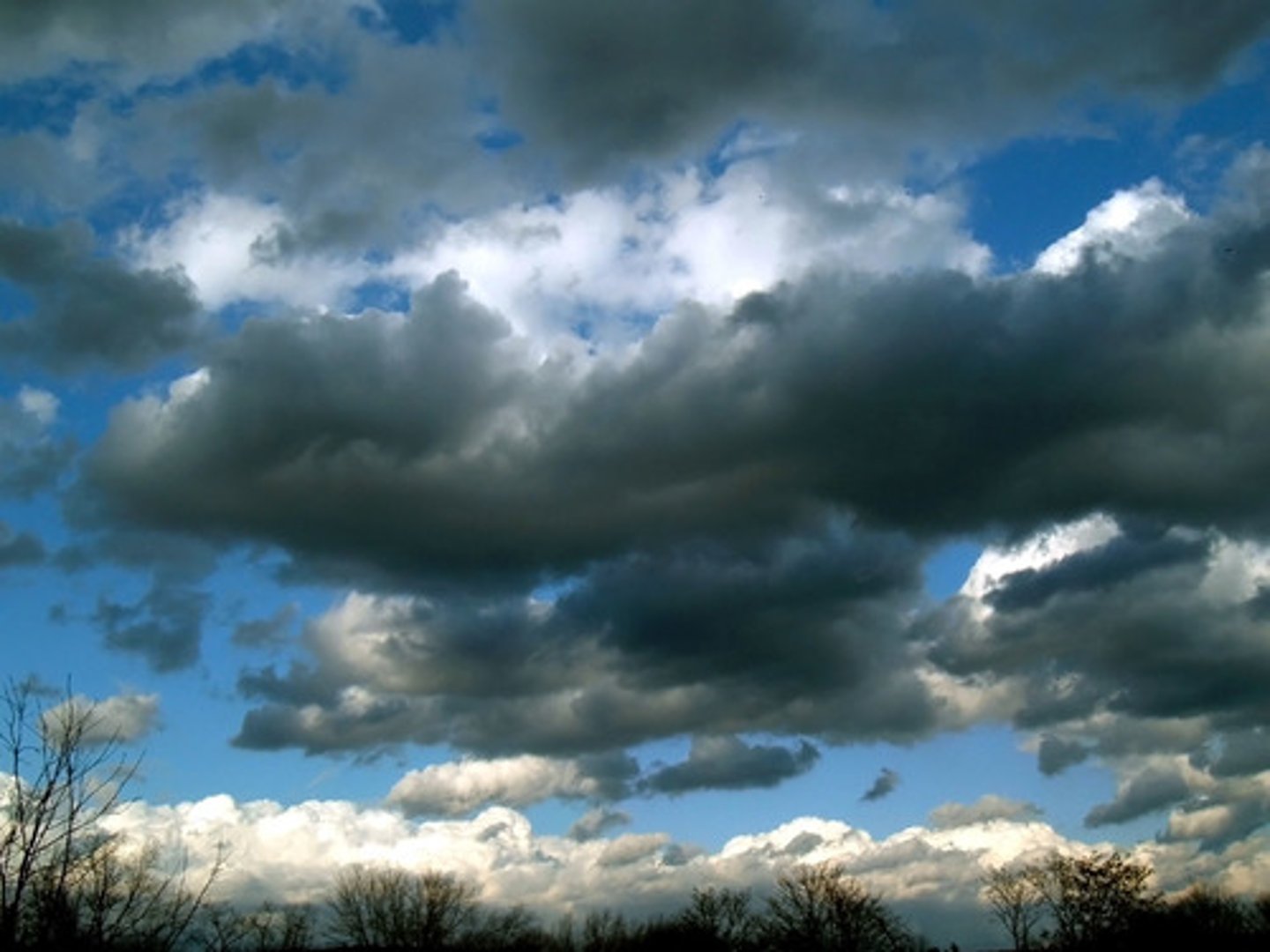 <p>form a dark gray, wet looking cloudy layer associated with continuously falling rain or snow. They often produce precipitation that is usually light to moderate.</p>