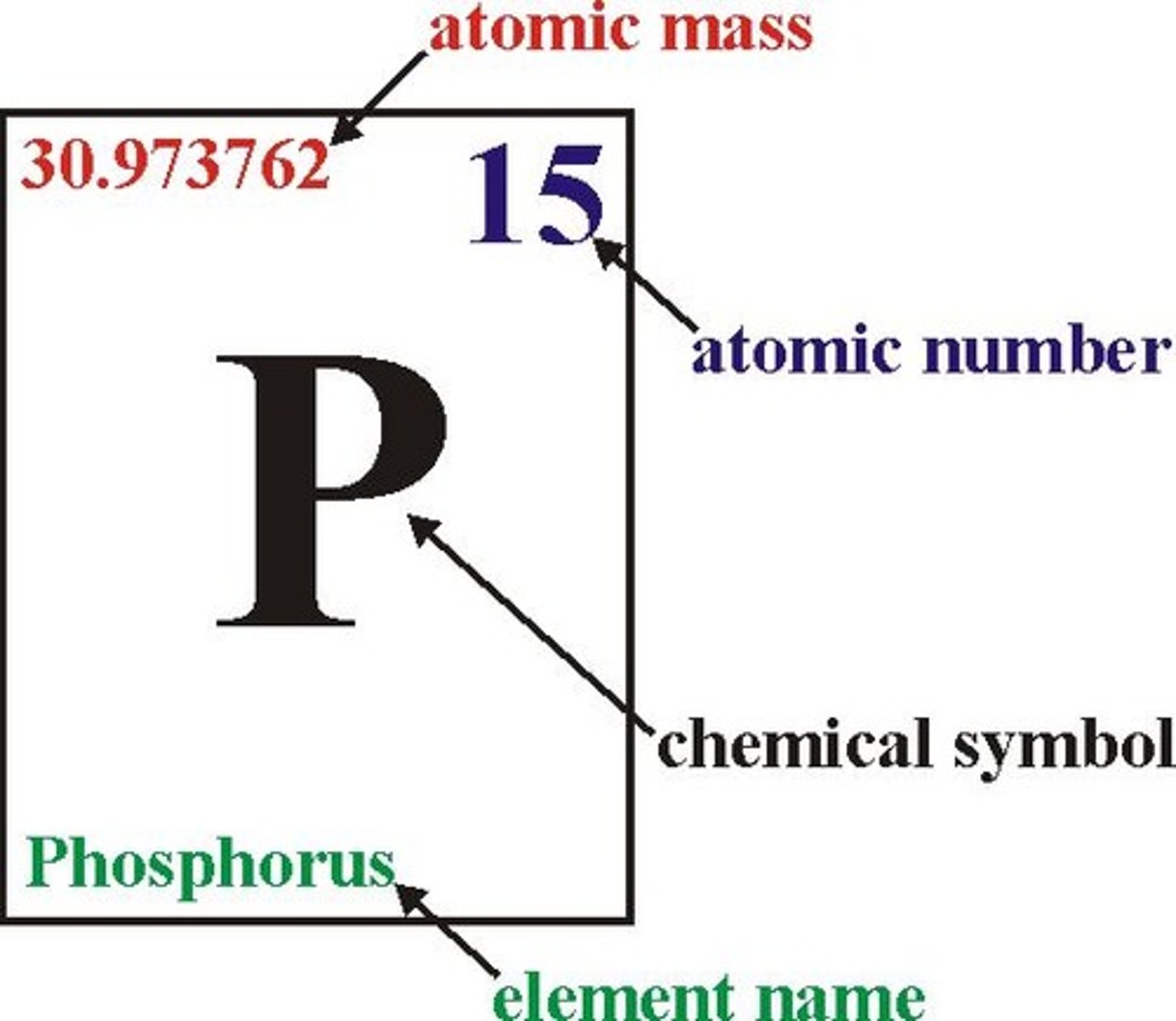 <p>shows the element's name, atomic number, chemical symbol, state of matter, and atomic mass</p>