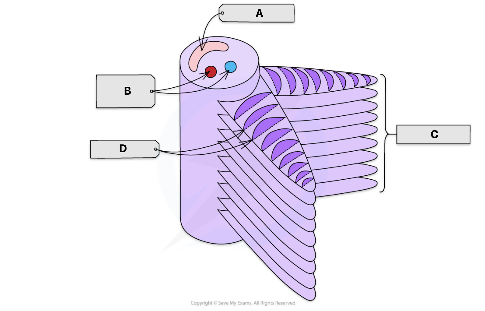 <p>Table A-D + function </p>
