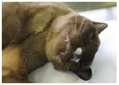 <p>What is this?</p>