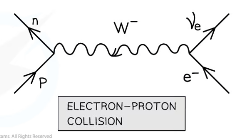 <p>When an electron and proton collide, a neutron and electron neutrino are emitted.</p><p></p><p>The W- boson is the exchange particle.</p>