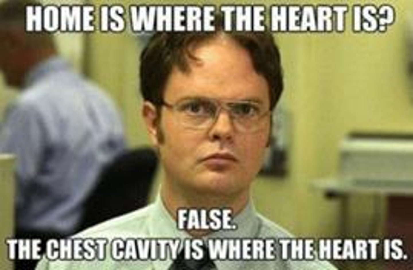 <p>Dwight Schrute from 'The Office' says, "The chest (thoracic) cavity is where the heart is." Is he correct?</p><p>No</p><p>Yes</p>