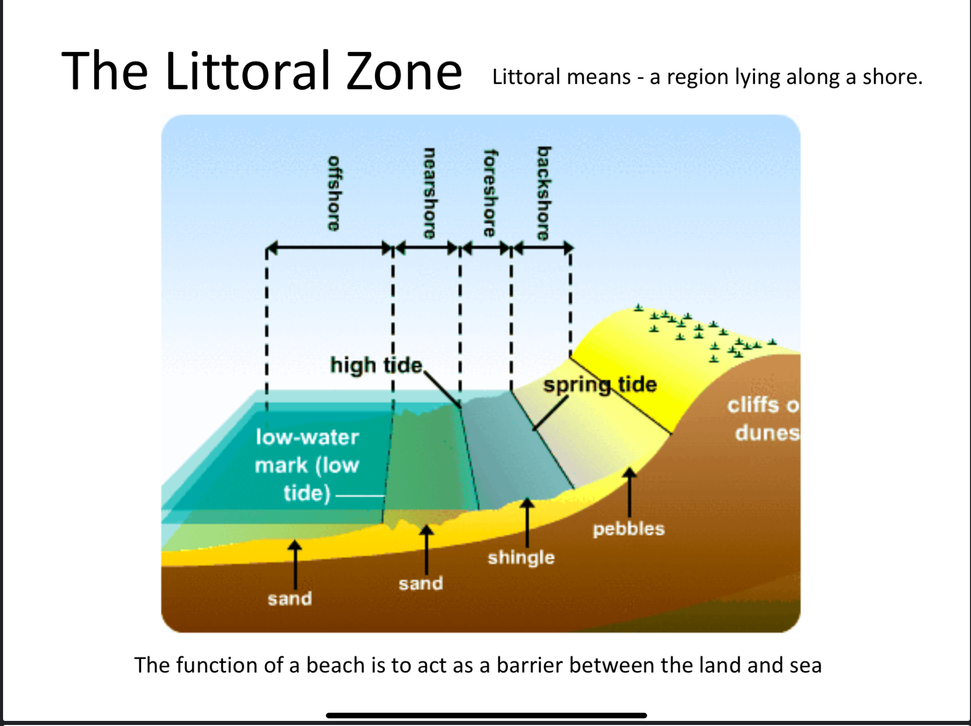 <p>area outside of wave action</p>