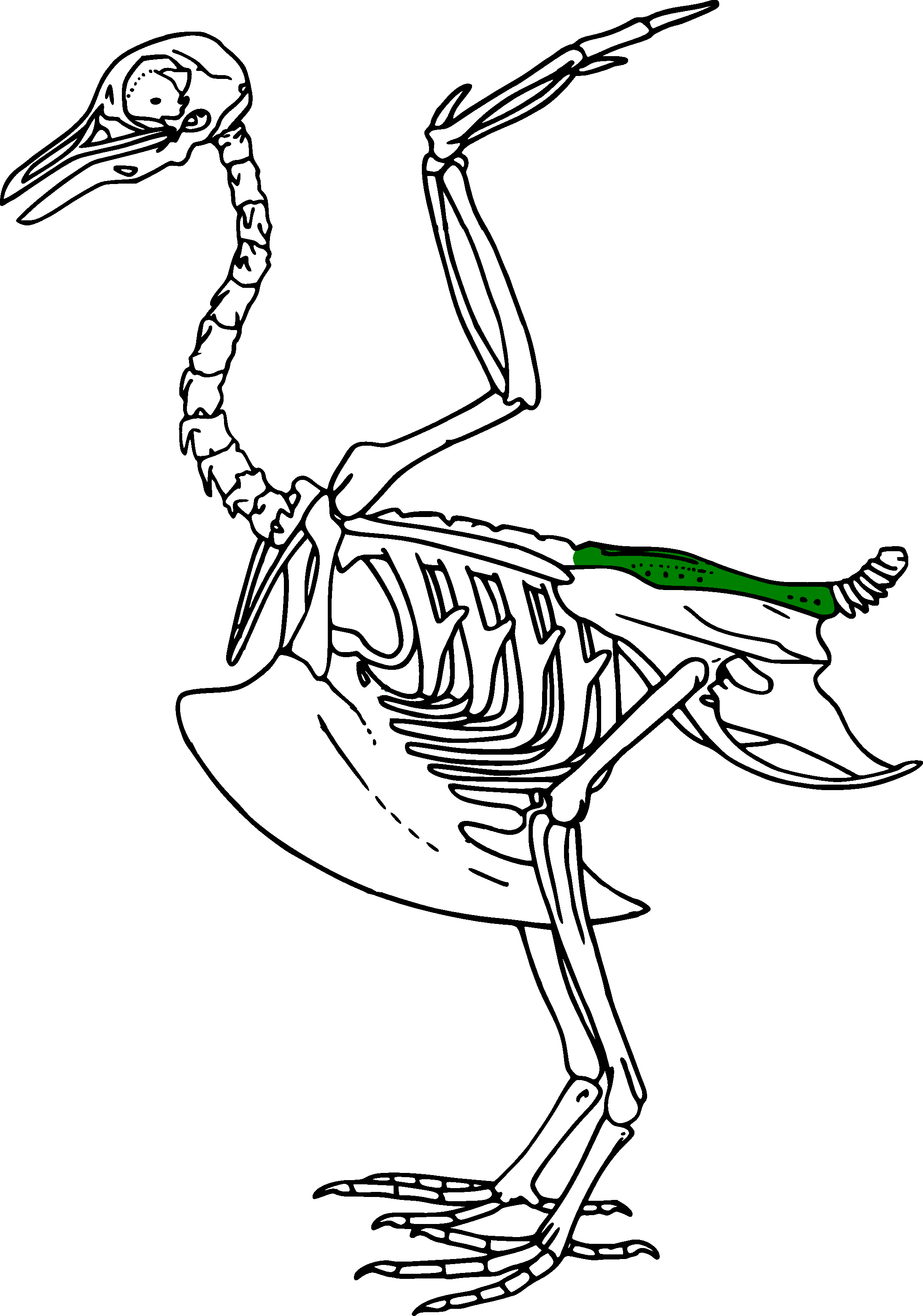 knowt flashcard image