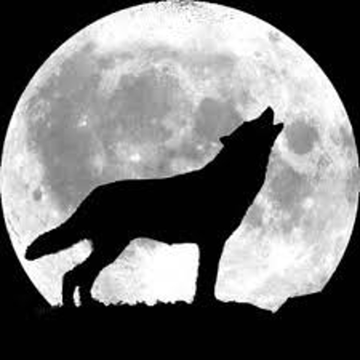 <p>a howl; a wail</p>