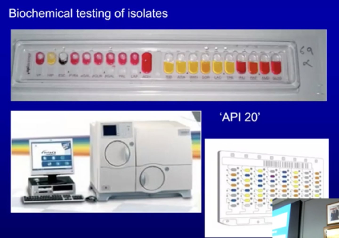 <p>pH test indicating how the bacteria utilize sugars (fermenting, etc)</p>