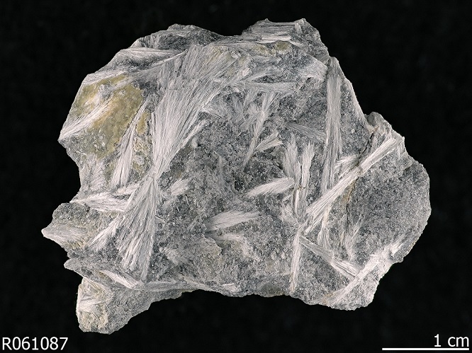 <p>What is this mineral?</p>