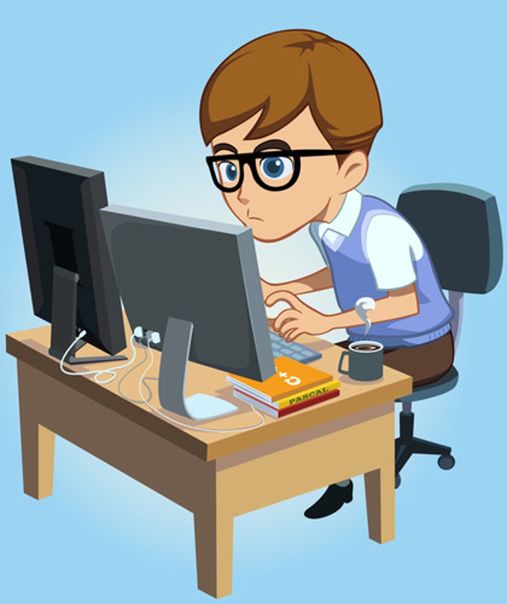 <p>programmer</p>