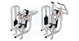 <ul><li><p>Medial Deltoids</p></li><li><p>Anterior Deltoids</p></li><li><p>Triceps Brachii</p></li></ul><p></p>