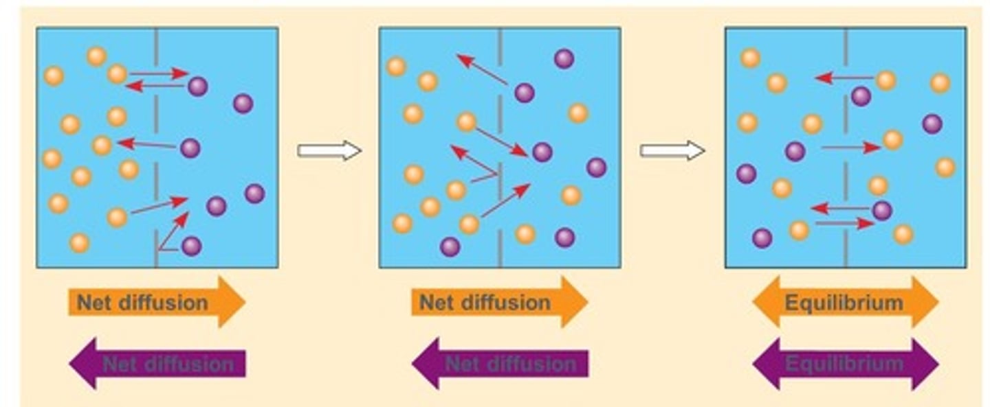 <p>down their concentration gradient, no work, no energy required</p>