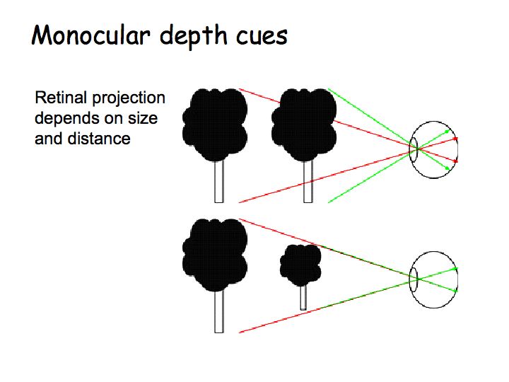 <p>Cues about Distance based on the image from either Eye by itself. (Relative Height, Relative Size, Shadows).</p>