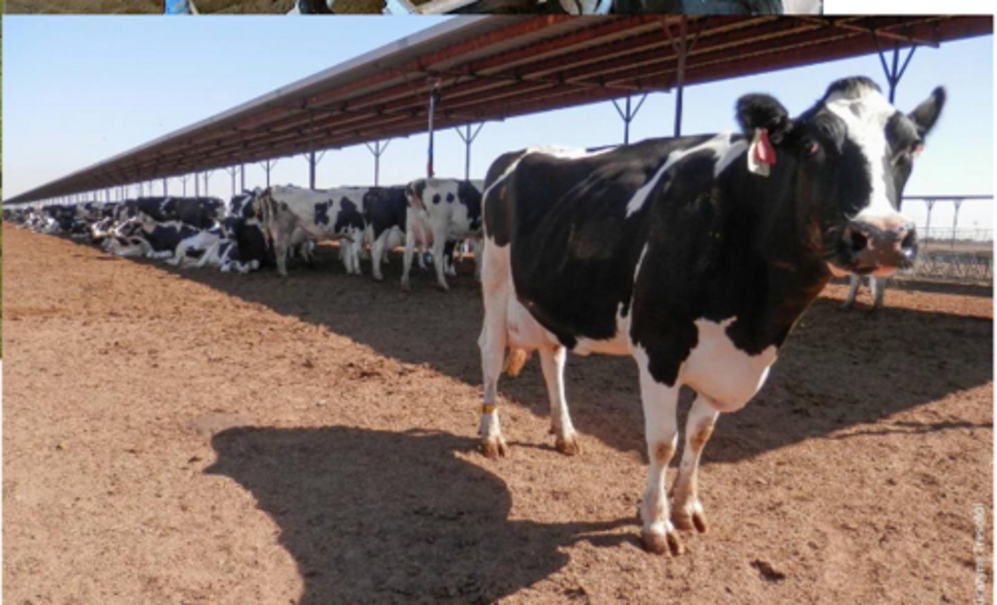 <p>What is this housing method?</p>