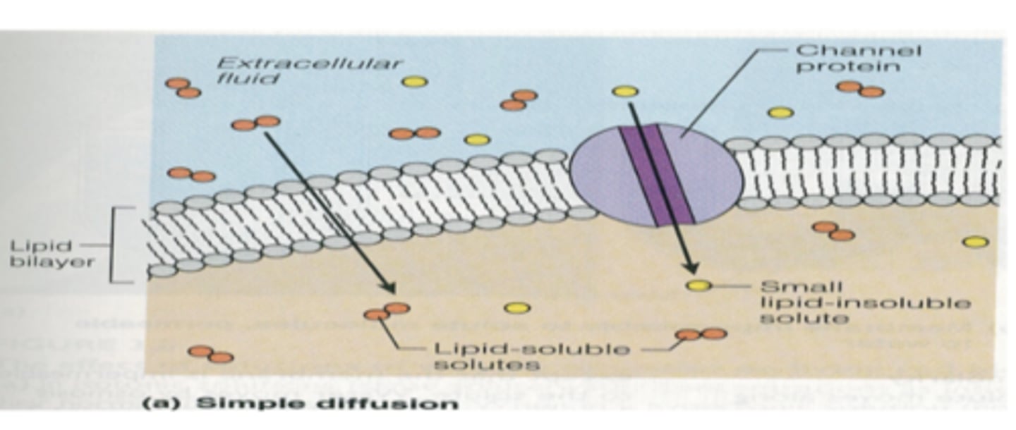 <p>Simple diffusion</p>