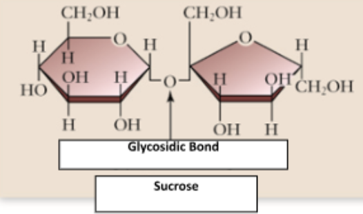 <p>Disaccharides </p>