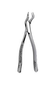 <p>maxillary first and second molars</p>