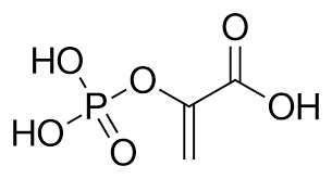 <p>Name the molecule?</p>