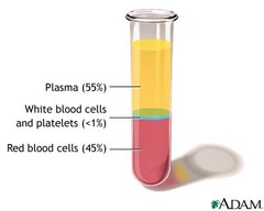 <p>The pale yellow component of blood that carries red blood cells, which blood cells, and platelets throughout the body.</p>