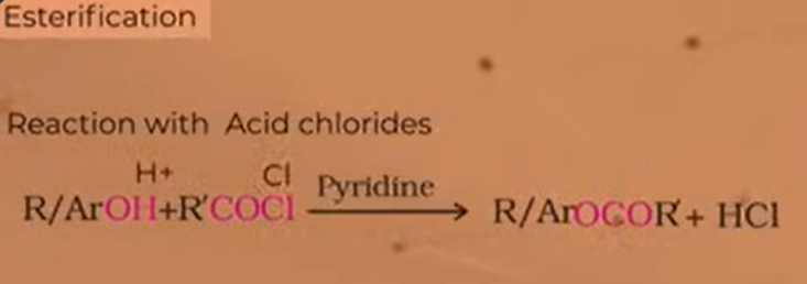 <ul><li><p>pyridine is a base used to neutralise the acid that is release in the product-HCl</p></li><li><p>because of pyridine which reduces the produc or neutralises it; it creates forward reaction </p></li></ul><p></p>