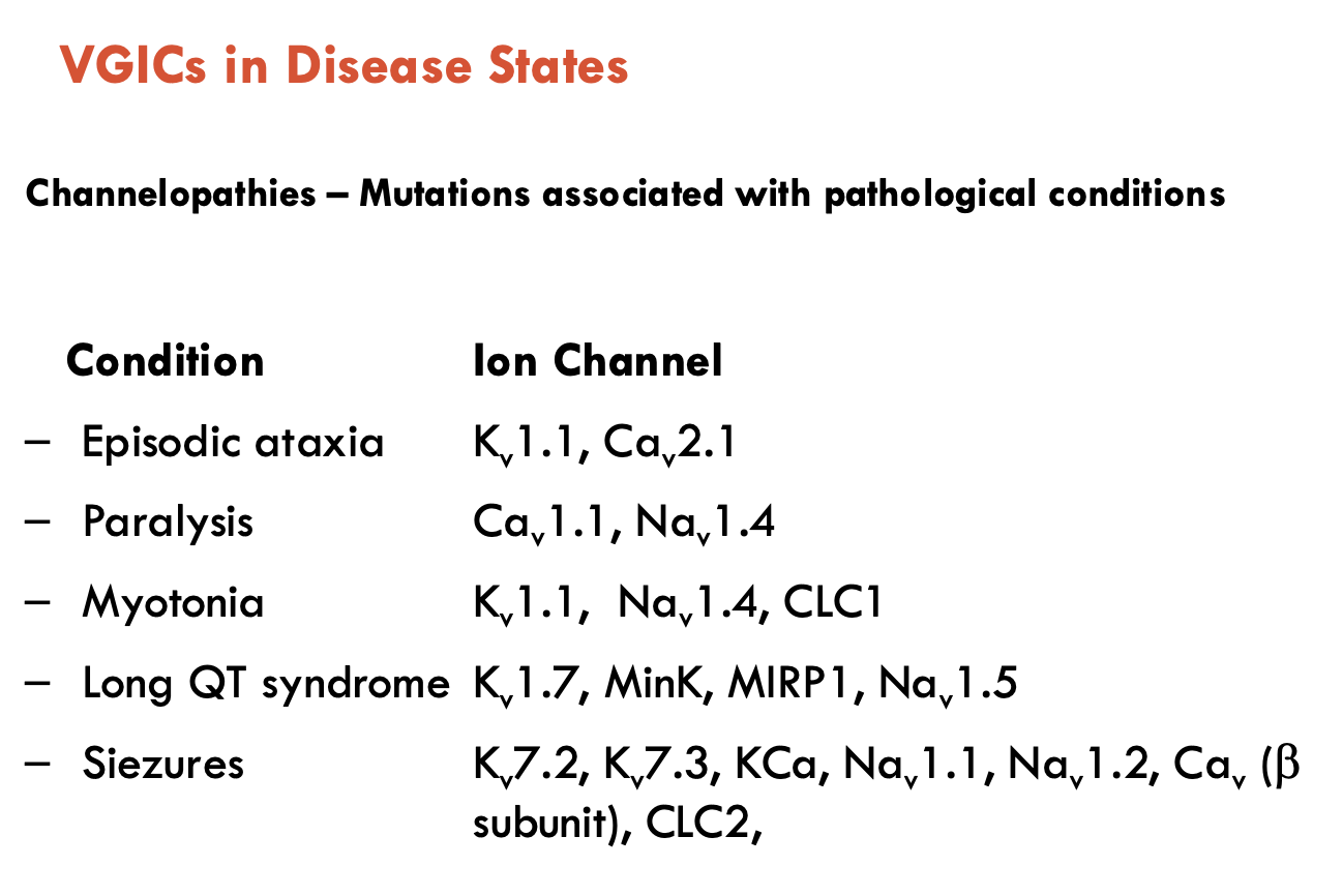<p>Channelopathies - mutations associated with pathological conditions</p><p><strong>Conditions:</strong> episodic ataxia, paralysis, myotonia, long QT syndrome, seizures</p>
