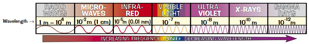 <p><strong>R</strong>adioactive <strong>M</strong>onkeys<strong> I</strong>nvade <strong>V</strong>enus<strong> U</strong>sing<strong> X-ray</strong> <strong>G</strong>uns</p><p><strong>R</strong>adio waves</p><p><strong>M</strong>icrowaves</p><p><strong>I</strong>nfrared</p><p><strong>V</strong>isible light</p><p><strong>U</strong>ltraviolet</p><p><strong>X</strong>-rays</p><p><strong>G</strong>amma rays</p><p>(in order of <strong>increasing frequency</strong> and <strong>decreasing wavelength</strong></p>