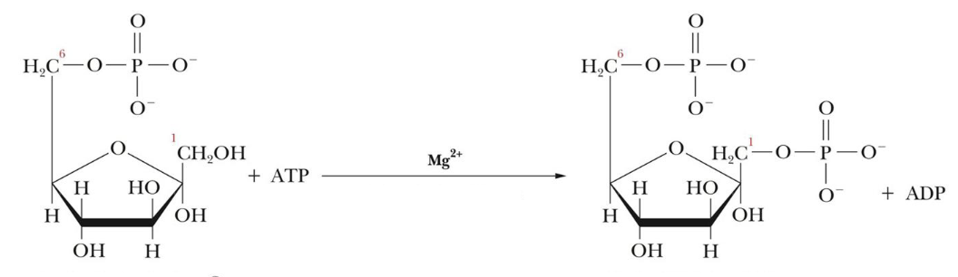 <p>What step of glycolysis is this?</p>
