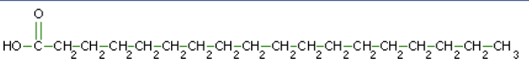 <p>What macromolecule is this?</p>