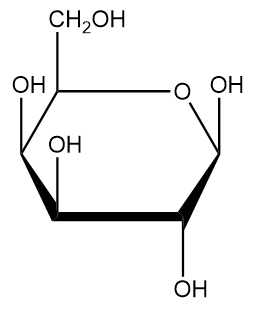 <p>Carbohydrates</p>