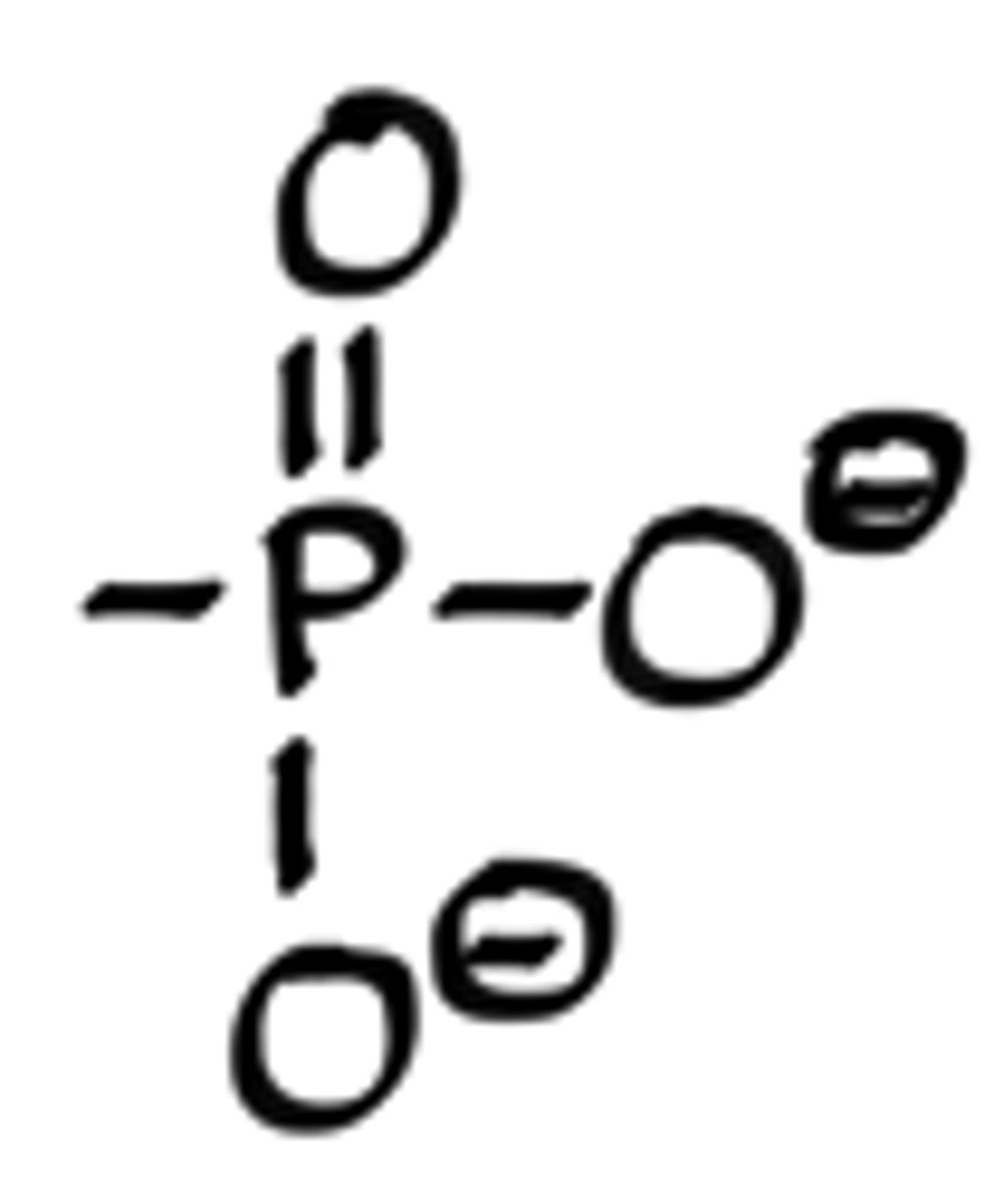<p>PO3</p>