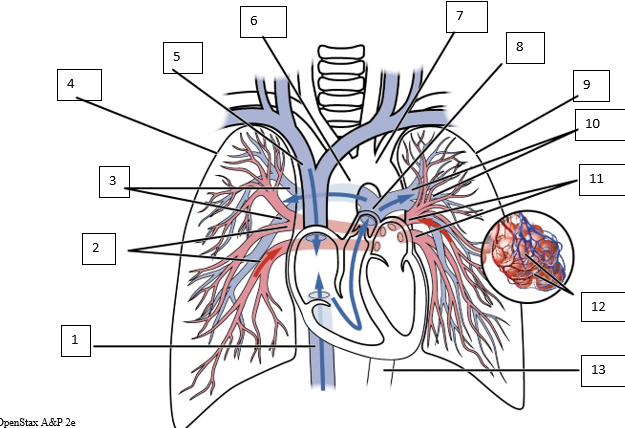 <p>11</p>