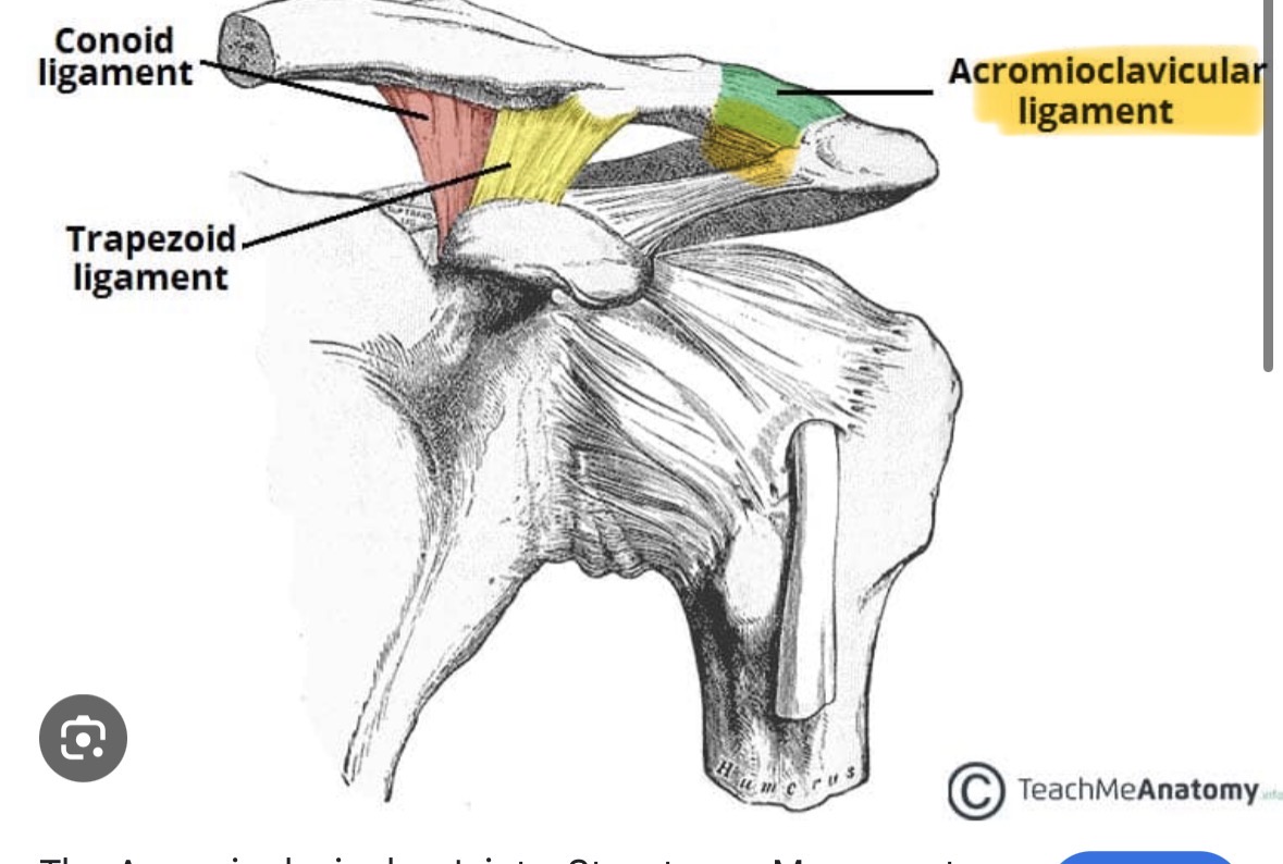 <p>Bottom/under part</p>