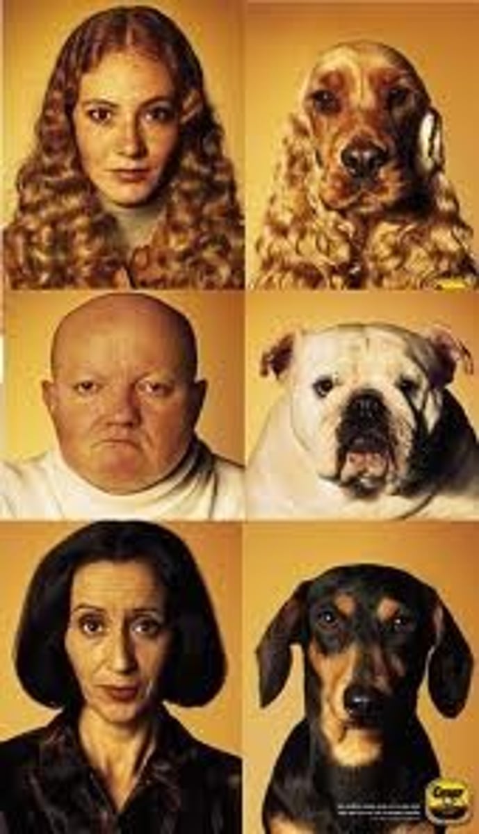 <p>to look, seem (like)</p>