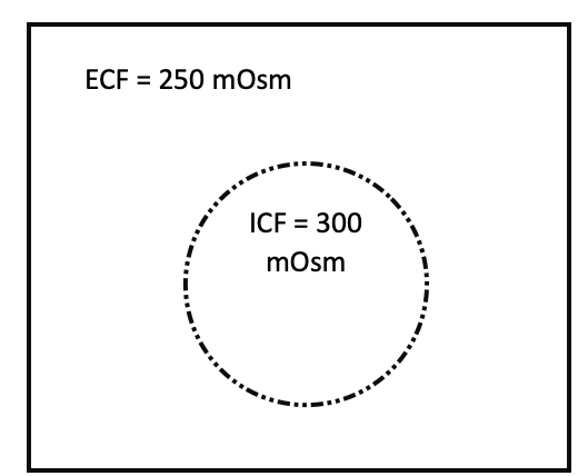 <p>will osmosis occur? in which direction? will the cell volume increase or decrease? </p>