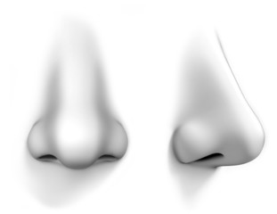 <p>Nose</p>