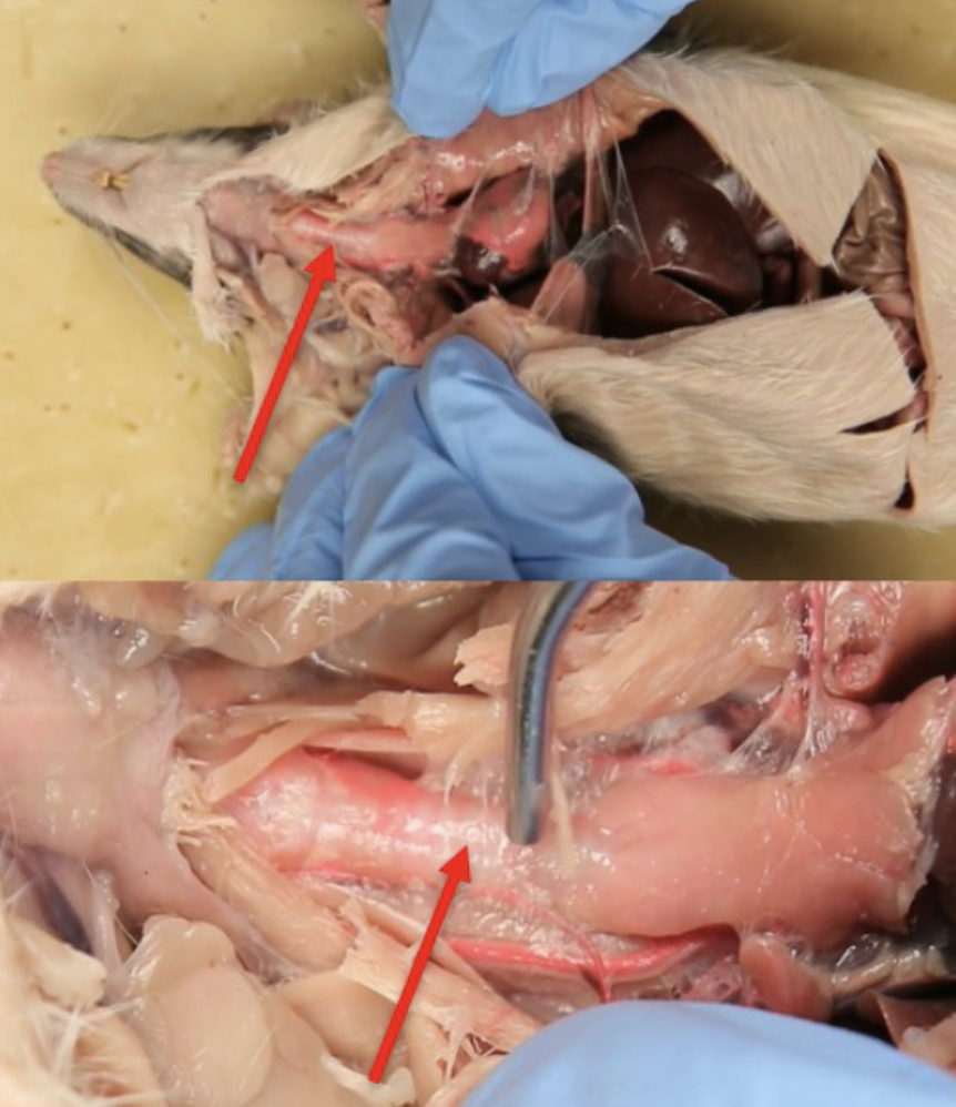 <p>What is this?</p>