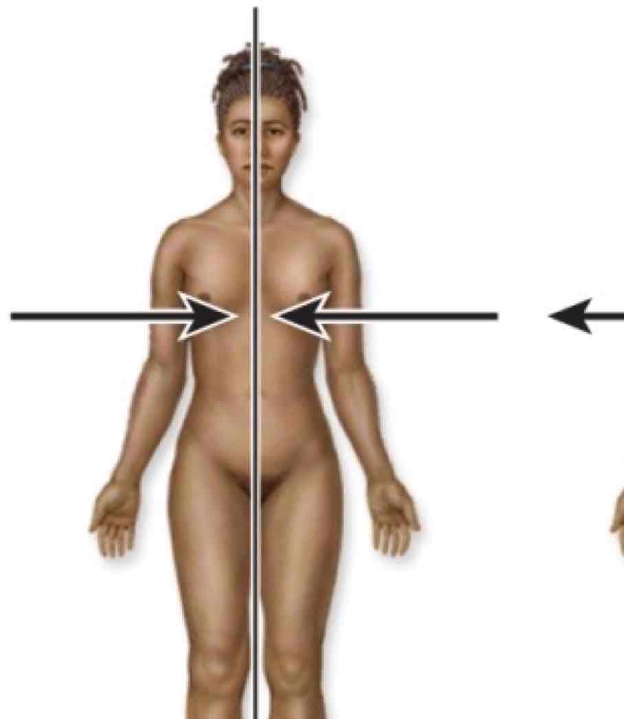 <p>Toward midline</p>
