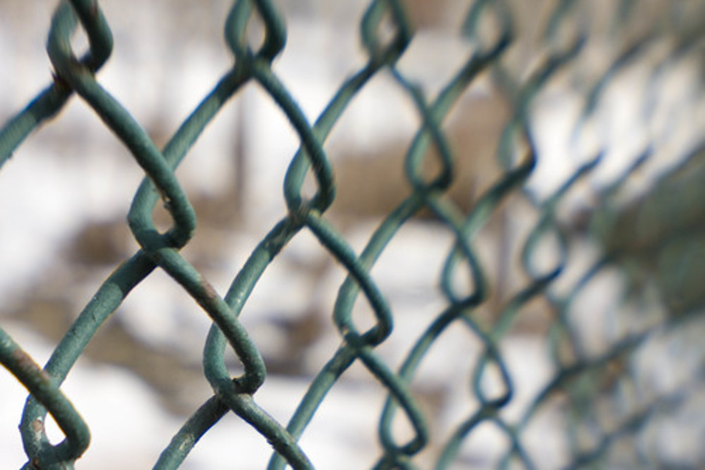 <p>hàng rào lưới thép</p>