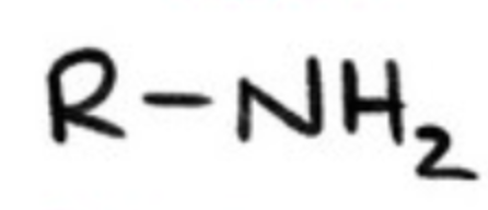 <p>alkylated derivatives of ammonia</p>