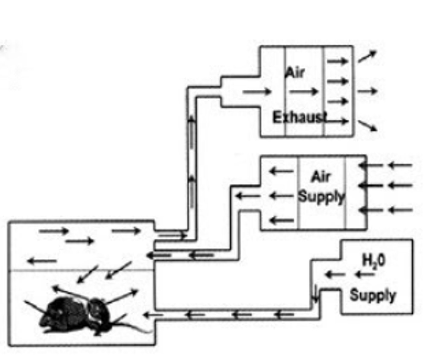<p>This image of a ventilated cage is an example of what type of caging system?</p><p>A. Intracage supply/intracage exhaust (direct)</p><p>B. Intracage supply/intracage exhaust (indirect)</p><p>C. Intracage supply/intracage exhaust (combination)</p><p>D. Intracage supply/perimeter capture</p>