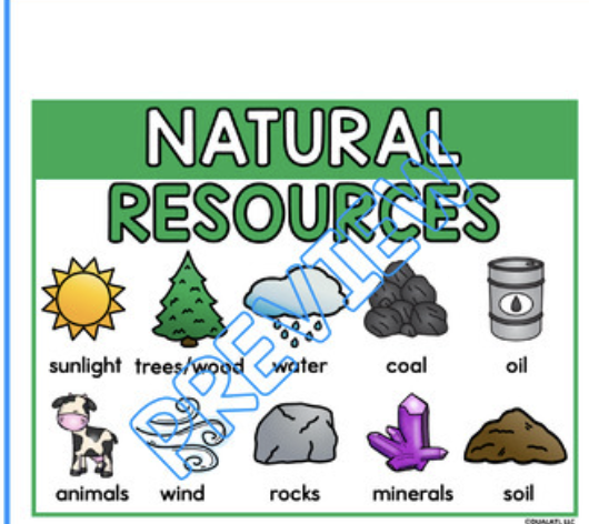<p>Materials or substances such as minerals, forests, water, and fertile land that occur in nature and can be used by humans.</p>