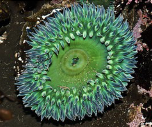 <p>what is this ?</p>