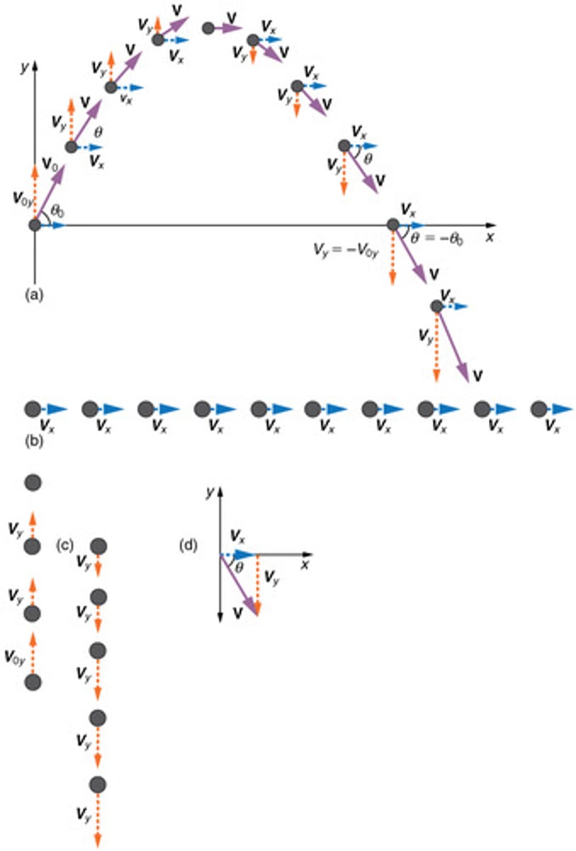 <p>The concept that motions along perpendicular axes are independent and can be analyzed separately.</p>