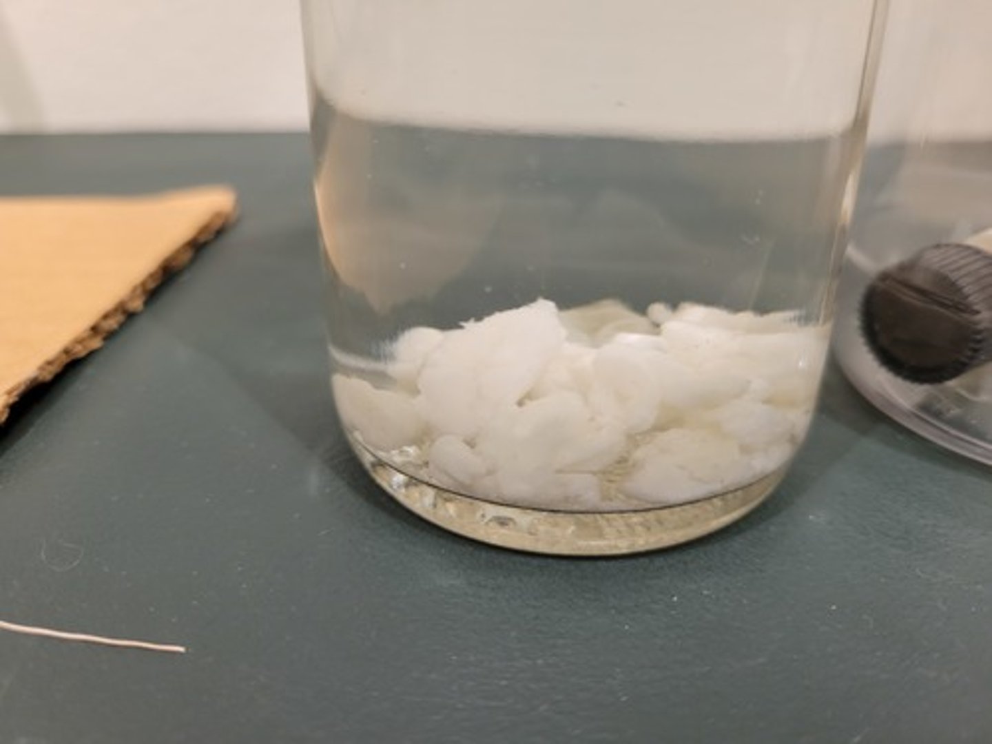 <p>Identify Taxonomy</p>